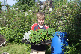Выращиваем рассаду для школьного двора